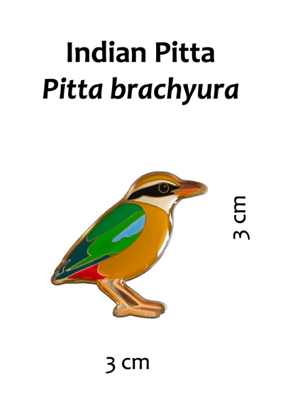 Rakhi Gift — Metal Pin